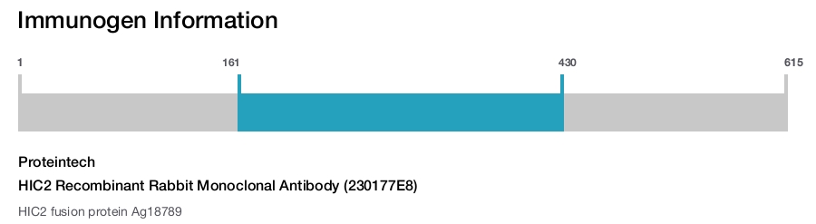 HIC2 Recombinant Rabbit Monoclonal Antibody (230177E8)