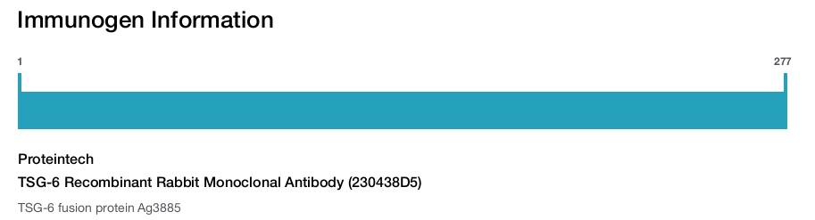 TSG-6 Recombinant Rabbit Monoclonal Antibody (230438D5)