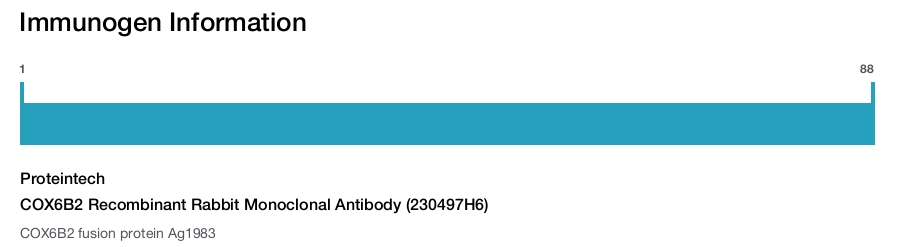 COX6B2 Recombinant Rabbit Monoclonal Antibody (230497H6)