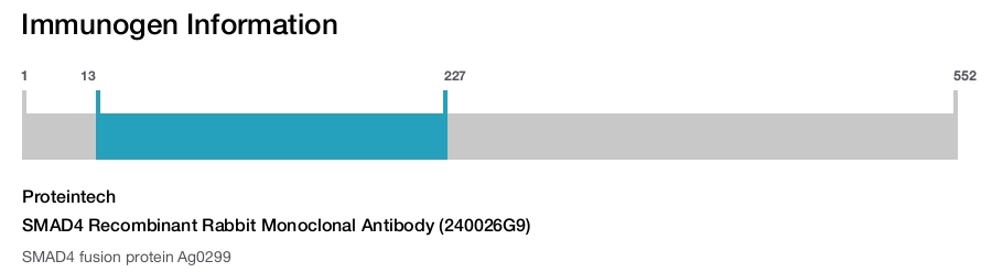 SMAD4 Recombinant Rabbit Monoclonal Antibody (240026G9)