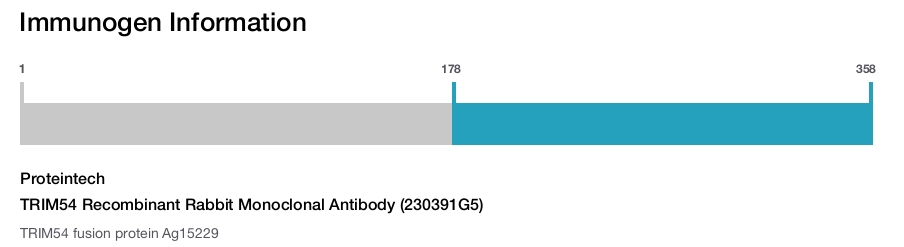TRIM54 Recombinant Rabbit Monoclonal Antibody (230391G5)