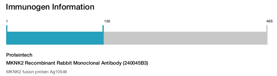 MKNK2 Recombinant Rabbit Monoclonal Antibody (240045B3)