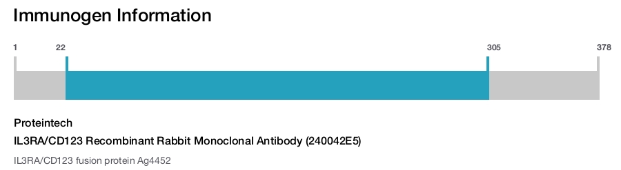 IL3RA/CD123 Recombinant Rabbit Monoclonal Antibody (240042E5)
