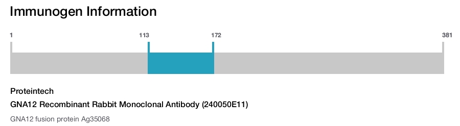 GNA12 Recombinant Rabbit Monoclonal Antibody (240050E11)
