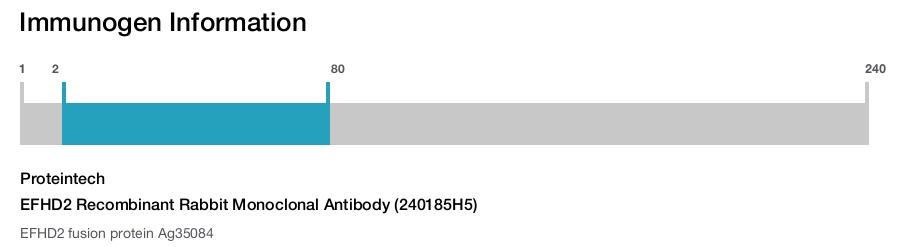 EFHD2 Recombinant Rabbit Monoclonal Antibody (240185H5)