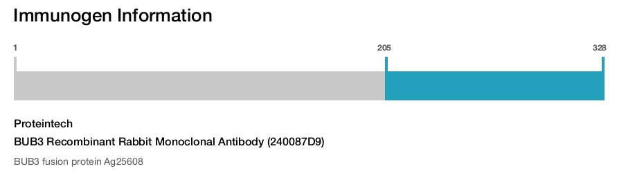 BUB3 Recombinant Rabbit Monoclonal Antibody (240087D9)