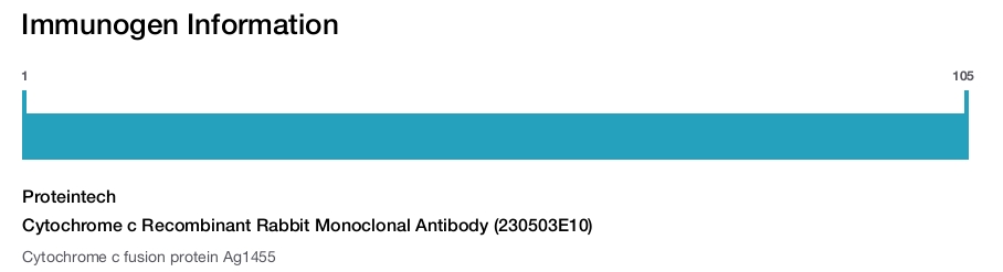 Cytochrome c Recombinant Rabbit Monoclonal Antibody (230503E10)