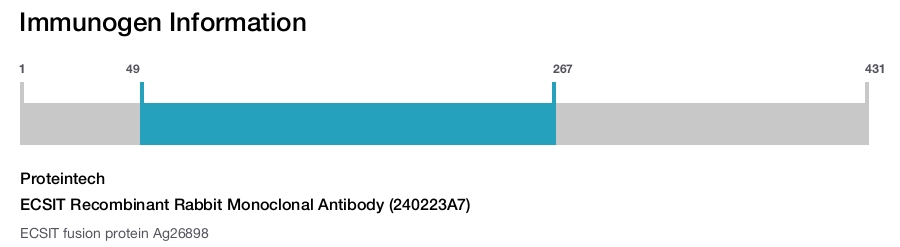 ECSIT Recombinant Rabbit Monoclonal Antibody (240223A7)