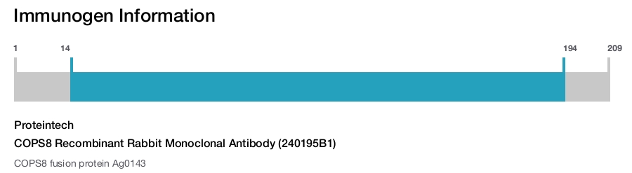 COPS8 Recombinant Rabbit Monoclonal Antibody (240195B1)