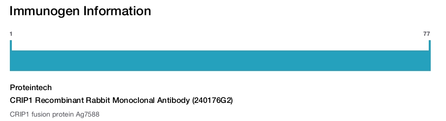 CRIP1 Recombinant Rabbit Monoclonal Antibody (240176G2)