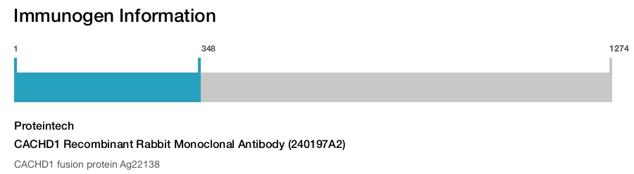 CACHD1 Recombinant Rabbit Monoclonal Antibody (240197A2)