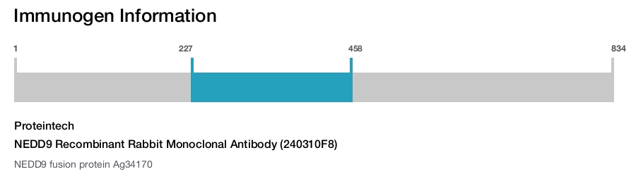 NEDD9 Recombinant Rabbit Monoclonal Antibody (240310F8)