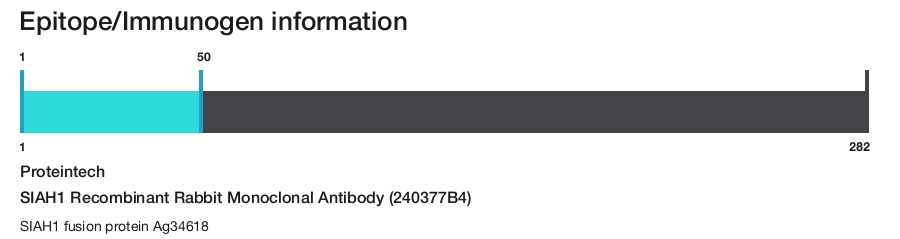 SIAH1 Recombinant Rabbit Monoclonal Antibody (240377B4)