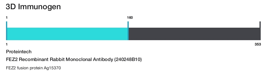 FEZ2 Recombinant Rabbit Monoclonal Antibody (240248B10)