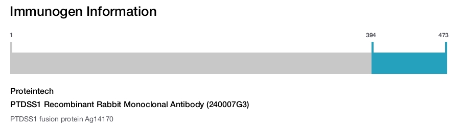 PTDSS1 Recombinant Rabbit Monoclonal Antibody (240007G3)