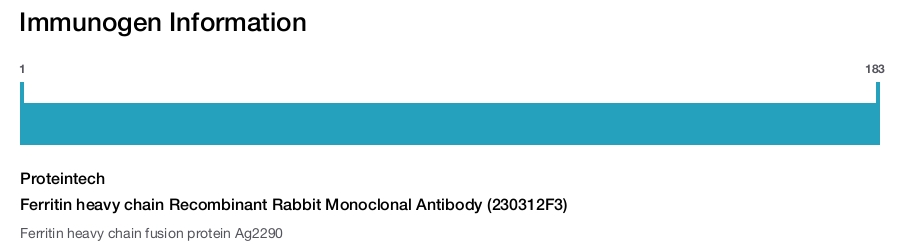 Ferritin heavy chain Recombinant Rabbit Monoclonal Antibody (230312F3)