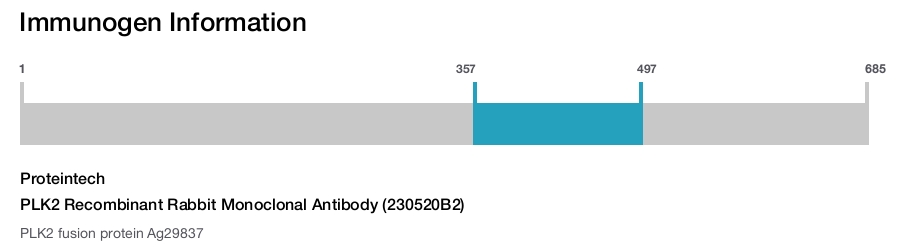 PLK2 Recombinant Rabbit Monoclonal Antibody (230520B2)
