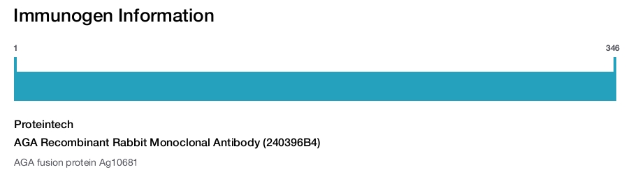 AGA Recombinant Rabbit Monoclonal Antibody (240396B4)