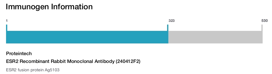 ESR2 Recombinant Rabbit Monoclonal Antibody (240412F2)