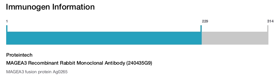 MAGEA3 Recombinant Rabbit Monoclonal Antibody (240435G9)