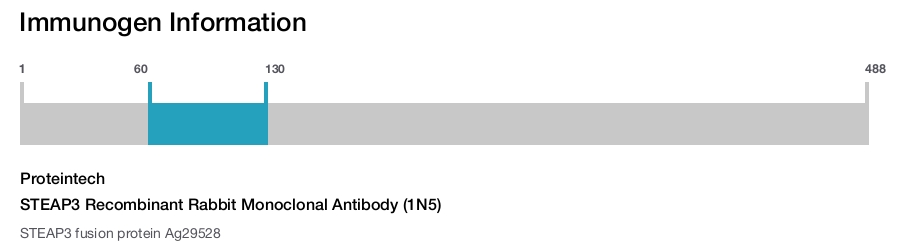 STEAP3 Recombinant Rabbit Monoclonal Antibody (1N5)