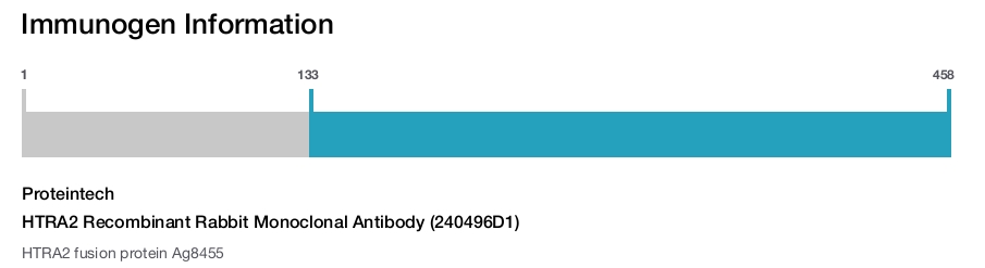 HTRA2 Recombinant Rabbit Monoclonal Antibody (240496D1)