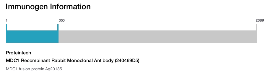 MDC1 Recombinant Rabbit Monoclonal Antibody (240469D5)