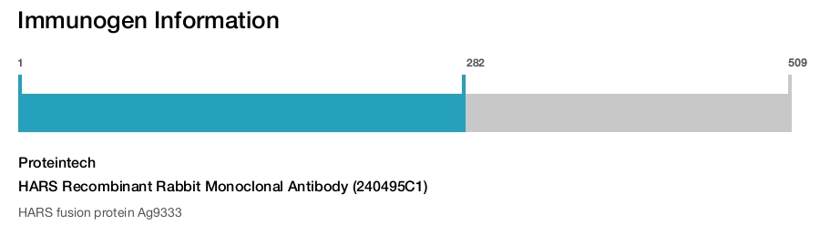 HARS Recombinant Rabbit Monoclonal Antibody (240495C1)