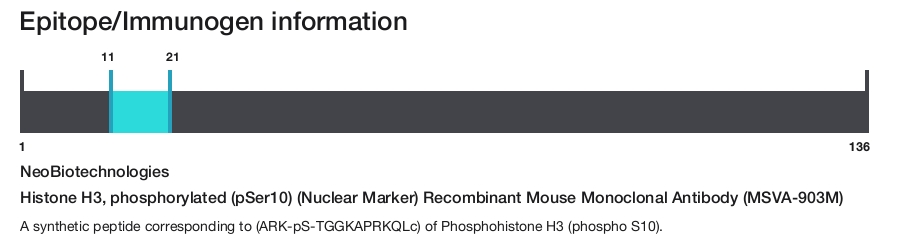 Histone H3, phosphorylated (pSer10) (Nuclear Marker) Recombinant Mouse Monoclonal Antibody (MSVA-903M)