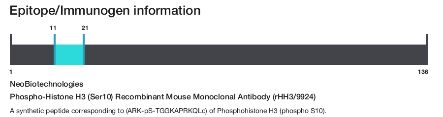 Phospho-Histone H3 (Ser10) Recombinant Mouse Monoclonal Antibody (rHH3/9924)