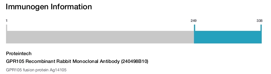 GPR105 Recombinant Rabbit Monoclonal Antibody (240498B10)