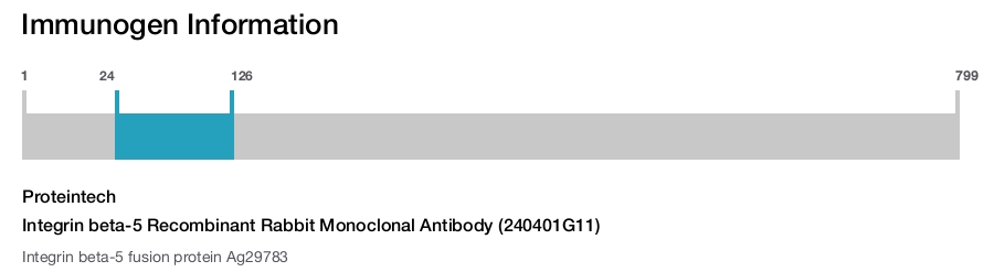 Integrin beta-5 Recombinant Rabbit Monoclonal Antibody (240401G11)