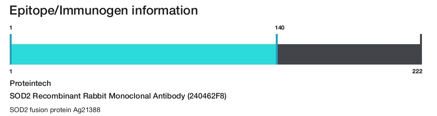 SOD2 Recombinant Rabbit Monoclonal Antibody (240462F8)