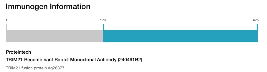 TRIM21 Recombinant Rabbit Monoclonal Antibody (240491B2)