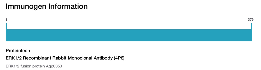 ERK1/2 Recombinant Rabbit Monoclonal Antibody (4P8)