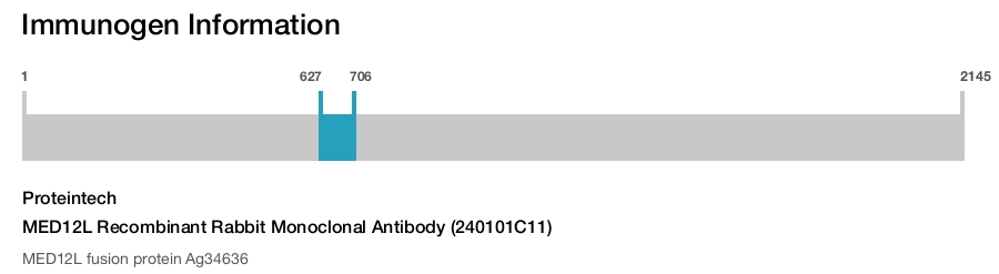 MED12L Recombinant Rabbit Monoclonal Antibody (240101C11)