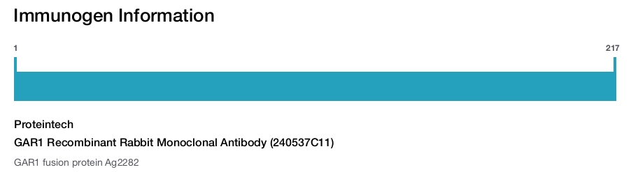 GAR1 Recombinant Rabbit Monoclonal Antibody (240537C11)