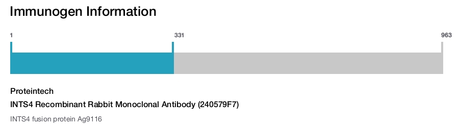 INTS4 Recombinant Rabbit Monoclonal Antibody (240579F7)