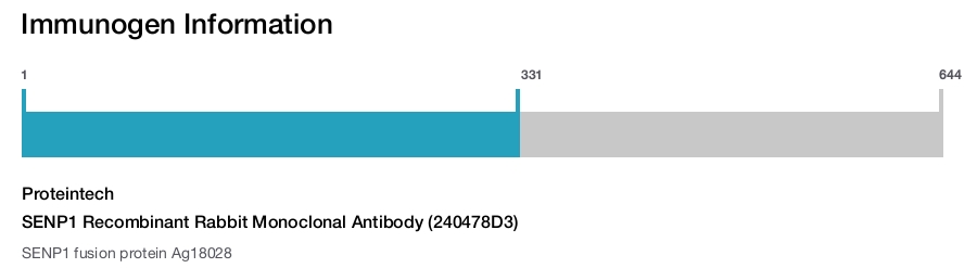 SENP1 Recombinant Rabbit Monoclonal Antibody (240478D3)
