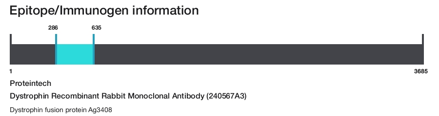 Dystrophin Recombinant Rabbit Monoclonal Antibody (240567A3)