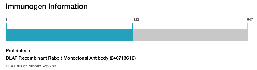 DLAT Recombinant Rabbit Monoclonal Antibody (240713C12)