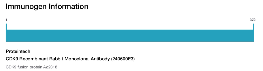 CDK9 Recombinant Rabbit Monoclonal Antibody (240600E3)