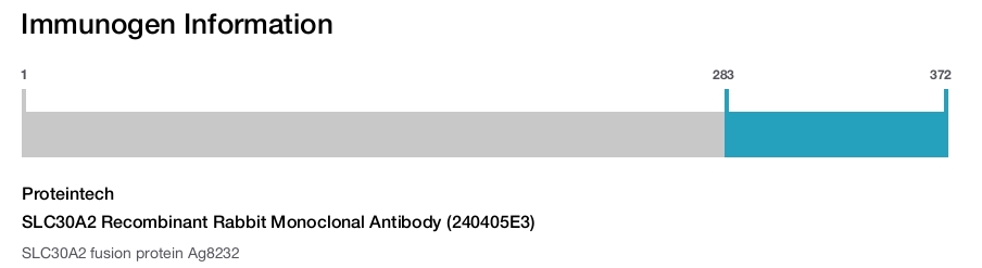 SLC30A2 Recombinant Rabbit Monoclonal Antibody (240405E3)
