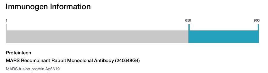 MARS Recombinant Rabbit Monoclonal Antibody (240648G4)