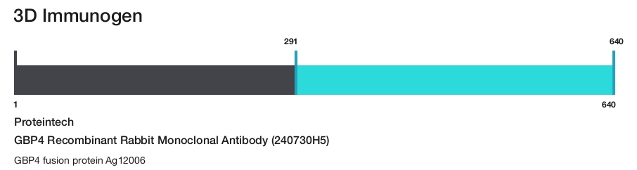 GBP4 Recombinant Rabbit Monoclonal Antibody (240730H5)