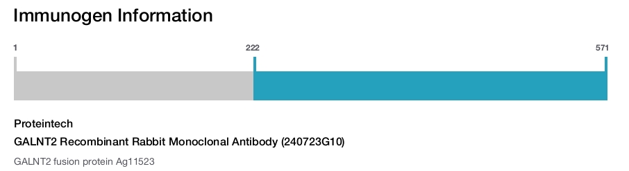 GALNT2 Recombinant Rabbit Monoclonal Antibody (240723G10)