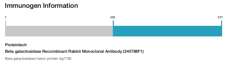 Beta galactosidase Recombinant Rabbit Monoclonal Antibody (240788F1)
