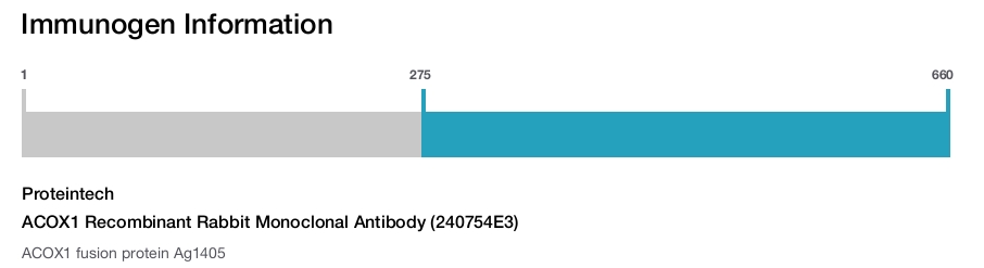 ACOX1 Recombinant Rabbit Monoclonal Antibody (240754E3)