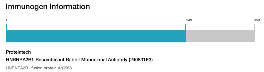 HNRNPA2B1 Recombinant Rabbit Monoclonal Antibody (240831E3)