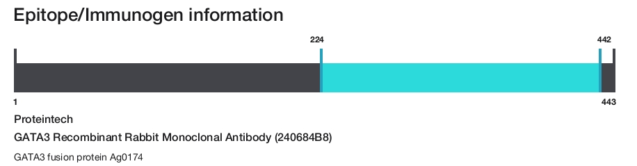 GATA3 Recombinant Rabbit Monoclonal Antibody (240684B8)